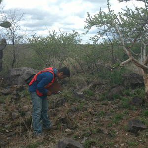 Ambiental